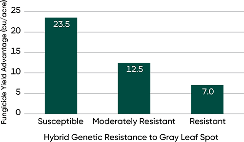 Average yield response of hybrids susceptible - moderately resistant - and resistant to gray leaf spot to foliar fungicide application