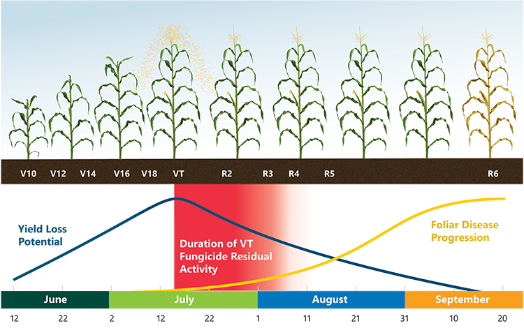 Generalized model of corn foliar disease progression and yield loss potential by growth stage