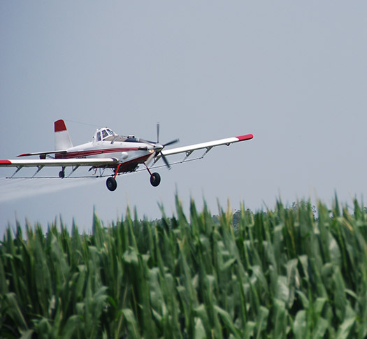 Plane spraying fungicide on seed corn field