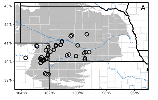 Location of the 36 field experiments conducted on growers fields in Colorado and Nebraska in 2023 and 2024