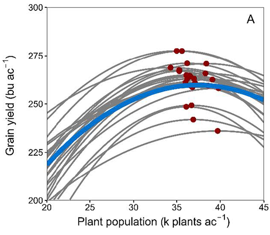 Plant density effect on grain yield - blue line represents average response across hybrids - grey lines represent the individual responses of each hybrid