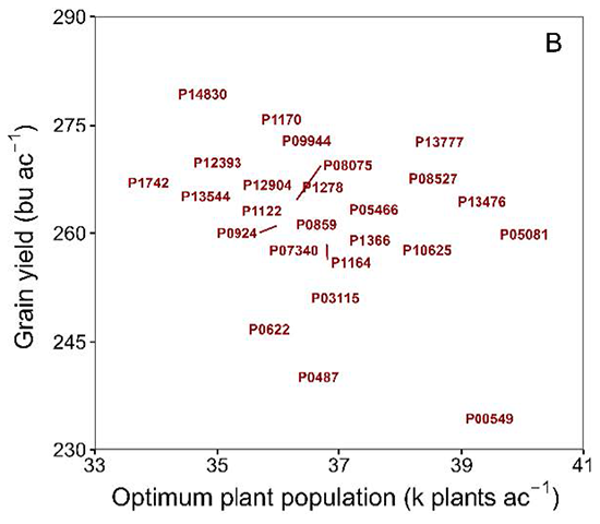 Hybrid and plant density effects on grain yield and water use efficiency - plant density that maximized grain yield for each specific hybrid