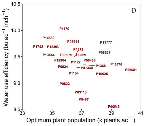 Plant density that maximized water use efficiency for each specific hybrid