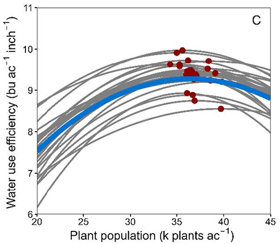 Plant density effect on water use efficiency - the blue line represents average response across hybrids - grey lines represent the individual responses of each hybrid