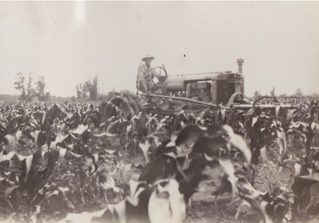 Location of the 36 field experiments conducted on growers fields in Colorado and Nebraska in 2023 and 2024