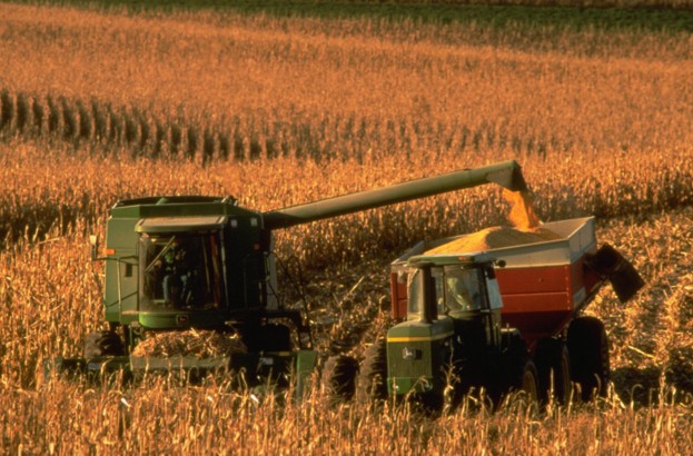 Two-wheeled grain carts with unload augers were an important innovation that increased the speed and efficiency of harvesting higher-yielding corn
