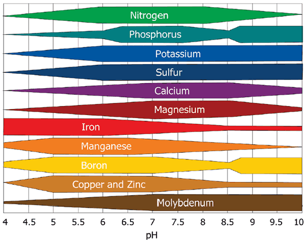 Relative availability of plant nutrients by soil pH