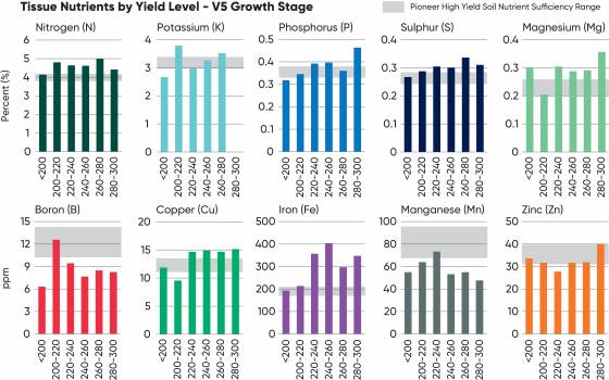 Average concentrations of key nutrients by corn yield level in tissue samples collected at the V5 growth stage across 73 locations in Southern Ontario in 2025