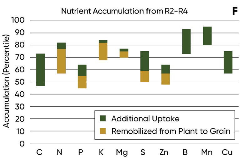 Chart - Relative amounts of nutrients acquired by the corn plant at different growth stages - R2-R4
