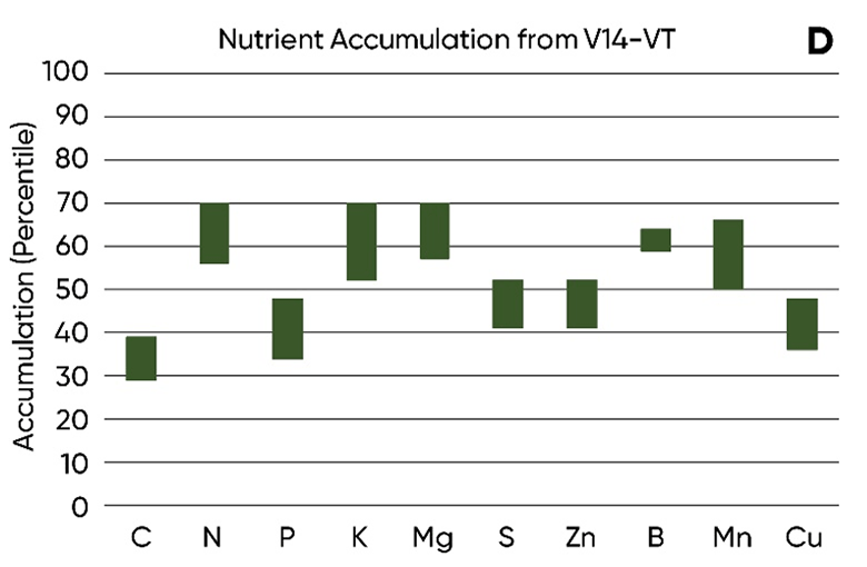 Chart - Relative amounts of nutrients acquired by the corn plant at different growth stages - V14-VT