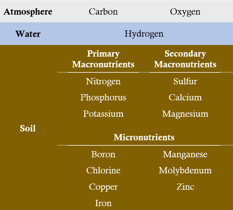 Table - Sources of sixteen nutrients essential for corn production.