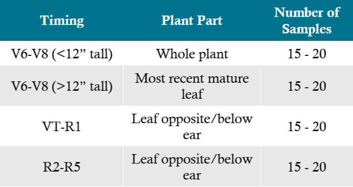 Table - Plant tissue sampling procedures for corn.