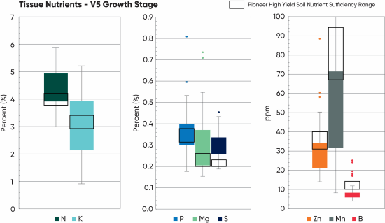 Tissue sample results for key nutrients collected at the V5 growth stage across 73 locations in Southern Ontario in 2025