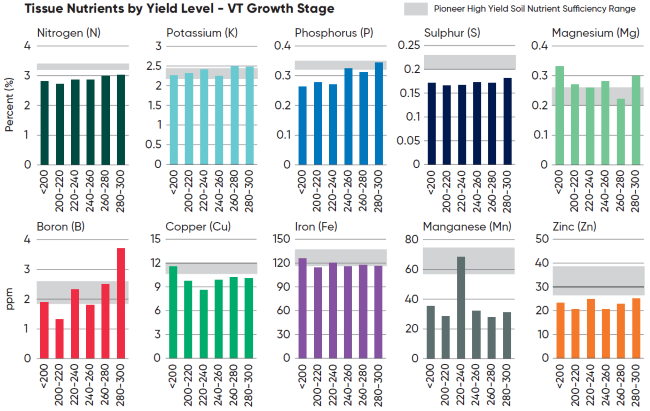 Average concentrations of key nutrients by corn yield level in tissue samples collected at the VT growth stage across 58 locations in Southern Ontario in 2025