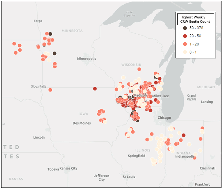 Map - Peak weekly CRW beetle counts by location.