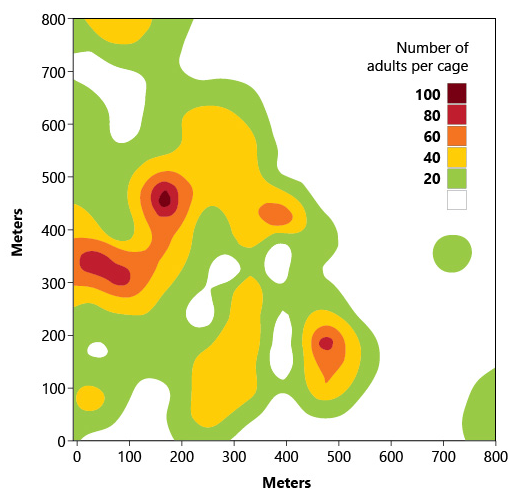 Contour map describing spatial variation in numbers of northern corn rootworm adults emerging