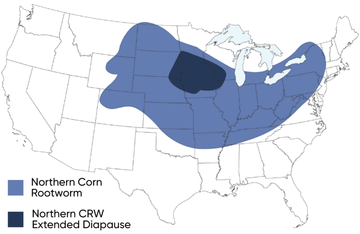 Approximate distribution of northern corn rootworm and rotation-adapted variant populations.