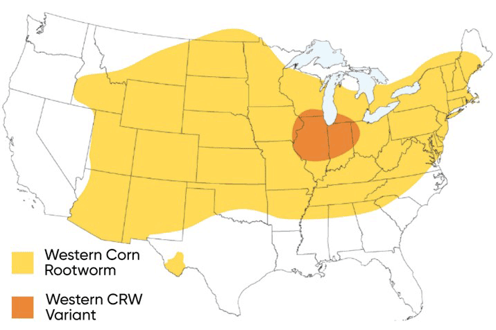 Map - Approximate distribution of western corn rootworm and rotation-adapted variant populations.