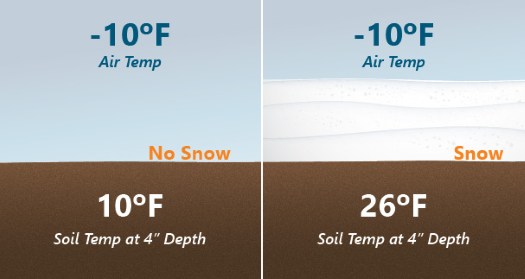 Example of the difference that snow cover can make in insulating soil from subfreezing air temperatures