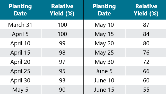 Table - Study results - delayed corn planting effects on irrigated corn yield
