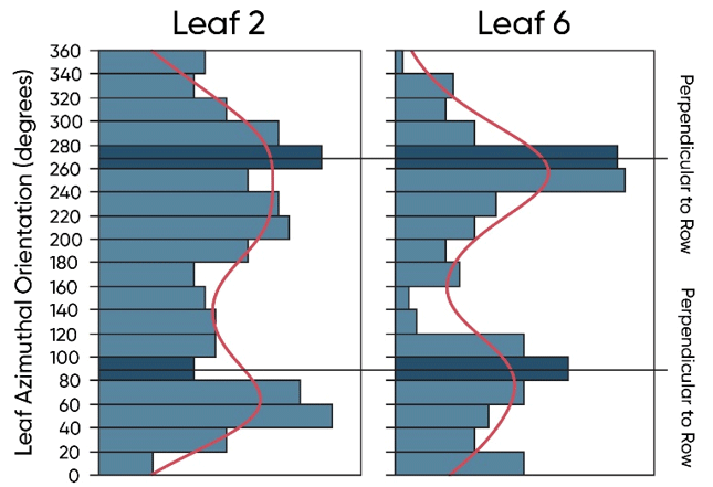 Distribution of azimuthal orientation for leaf 2, leaf 6, leaf 10, and leaf 14 averaged across corn products and population densities in a Pioneer field study.