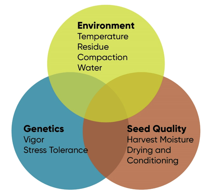 Chart - Critical environmental, genetic and seed quality factors that affect corn stand establishment.