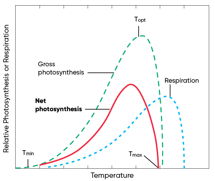 Generalized model of temperature effects on rates of gross photosynthesis, respiration, and net photosynthesis Generalized model of temperature effects on rates of gross photosynthesis, respiration, and net photosynthesis