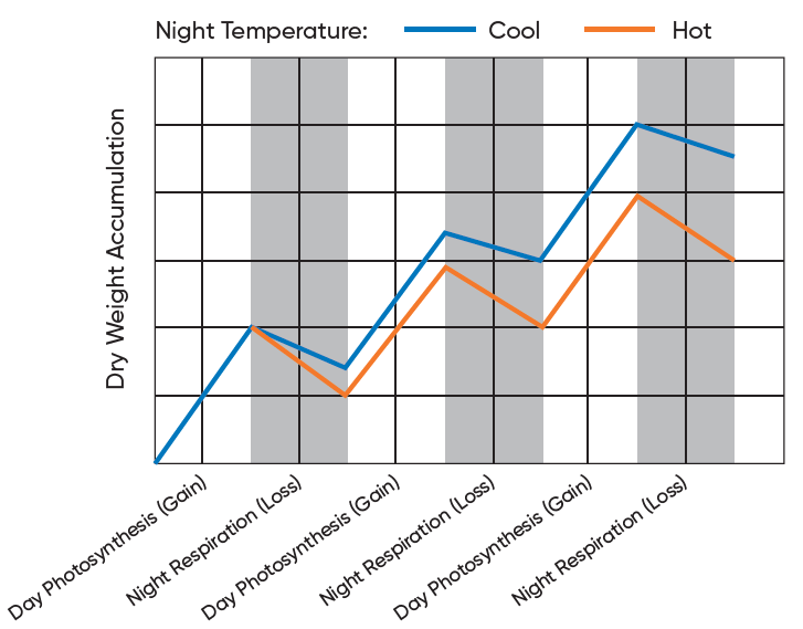 Generalized model of temperature effects on rates of gross photosynthesis, respiration, and net photosynthesis Generalized model of temperature effects on rates of gross photosynthesis, respiration, and net photosynthesis