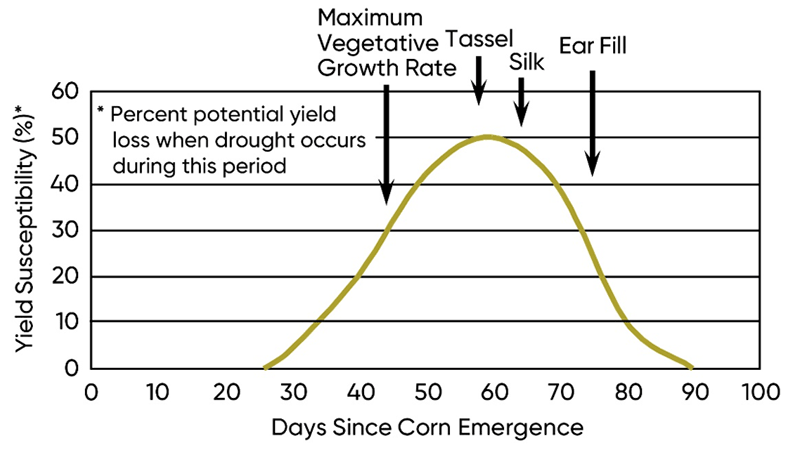 Graph - Yield susceptibility to water stress for corn.