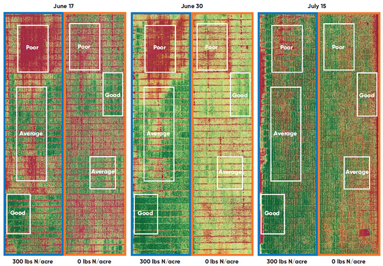 NDVI imagery of the experiment field taken on June 17 -  June 30 and July 30 showing sampling areas representing poor - average and good crop conditions