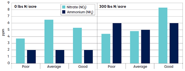 Soil nitrate and ammonium levels in the poor - average and good corn crop condition research trial areas