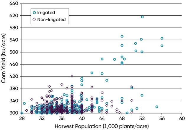 Scatter Graph - Harvest populations and corn yield of irrigated and non-irrigated NCGA National Corn Yield Contest entries exceeding 300 bu per acre, 2016-2020.