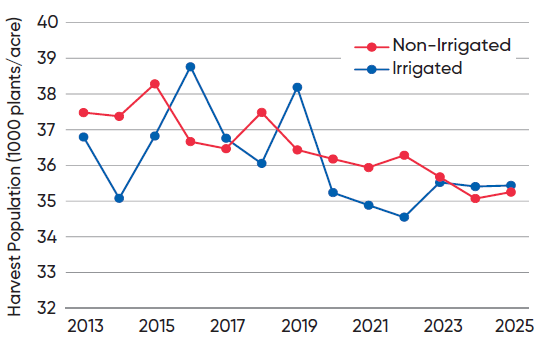 Average harvest populations of NCGA National Corn Yield Contest entries exceeding 300 bu per acre in irrigated and non-irrigated classes from 2013 to 2025