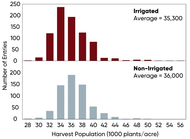 Harvest populations and corn yield of irrigated and non-irrigated NCGA National Corn Yield Contest entries exceeding 300 bu per acre, 2019-2023.
