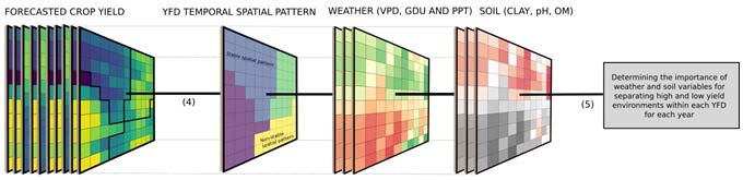 Diagram - Statistical analysis framework  - crop yield forecasts.