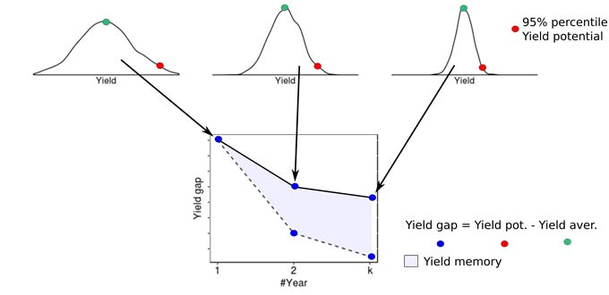 Diagram - Summary of procedure to compute yield gap profiles and yield memory.