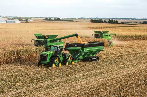 Green harvester in cornfield.