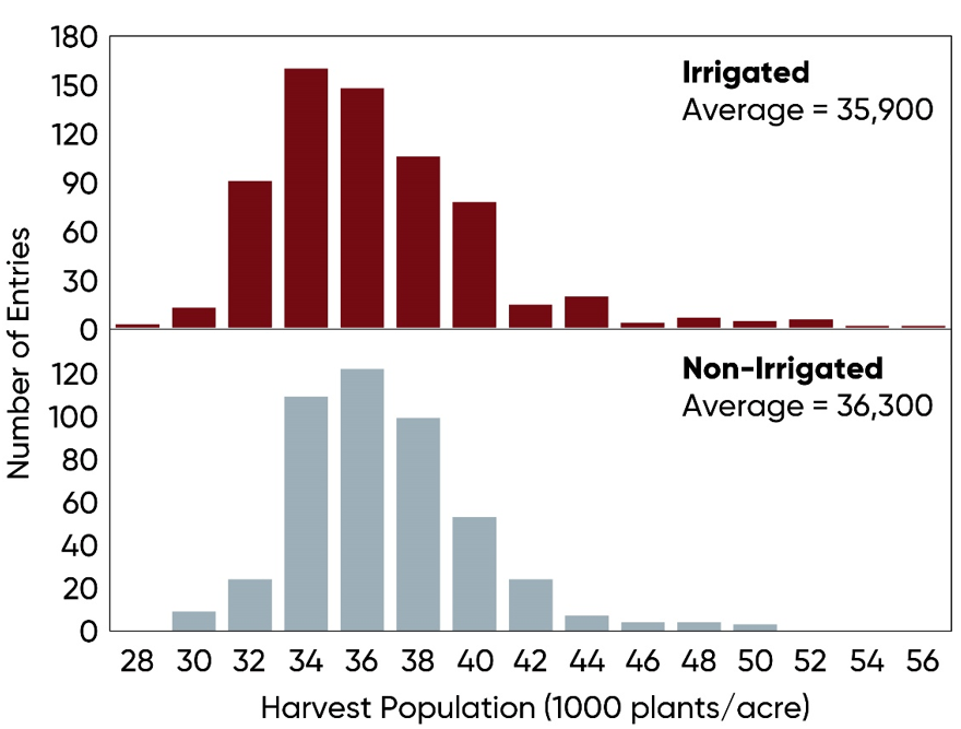 Bar Chart - Harvest populations and corn yield of irrigated and non-irrigated NCGA National Corn Yield Contest entries exceeding 300 bu per acre, 2017-2021.