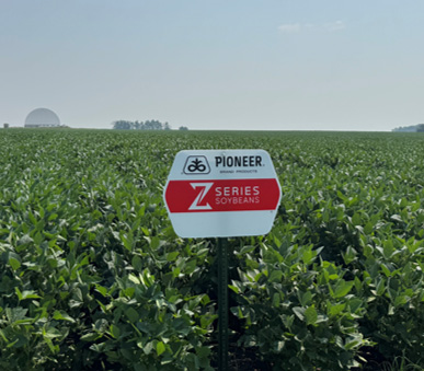 Z Series Enlist E3 soybeans