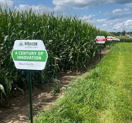 PKP trial showcasing new hybrids for SE IA growers