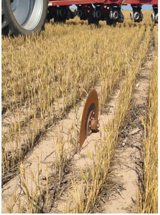 Impacts of Drought - Cambridge NE
