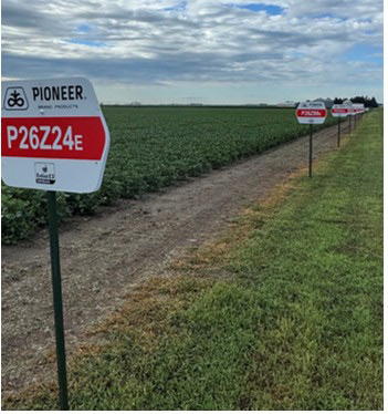 Pioneer Soybean Plot - Holdrege NE