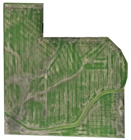 Tile