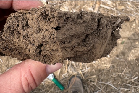 Soil crusting