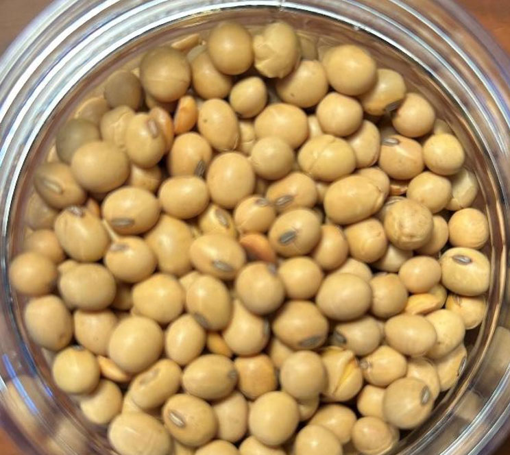 Mean particle size - 5478 micrometer - full-fat soybean meal sample Mean particle size - 5478 micrometer - full-fat soybean meal sample