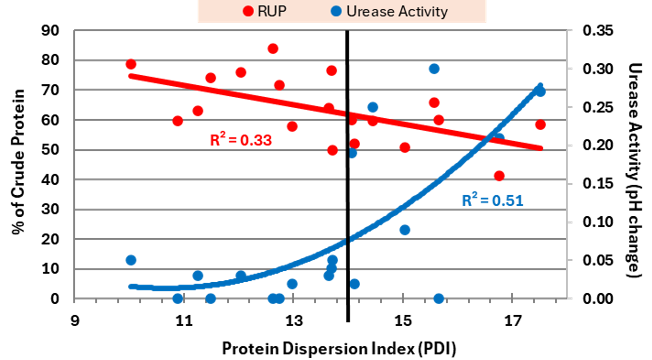 Graph showing Protein Dispersion Index - PDI - in relation to Rumen Undegraded Protein - RUP - and urease activity in roasted Plenish FFSBM