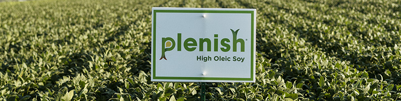Plenish high oleic soybeans