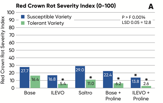 The key distinguishing characteristic of red crown rot is the presence of perithecia on the crown and roots just below the soil line The key distinguishing characteristic of red crown rot is the presence of perithecia on the crown and roots just below the soil line