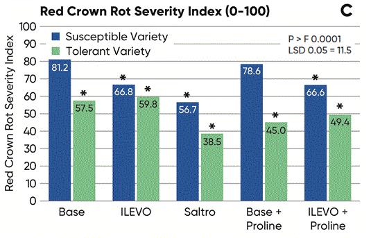 The key distinguishing characteristic of red crown rot is the presence of perithecia on the crown and roots just below the soil line The key distinguishing characteristic of red crown rot is the presence of perithecia on the crown and roots just below the soil line