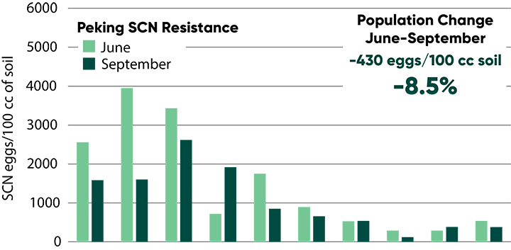 SCN egg counts in June and September samples at study locations with moderate to high SCN population levels